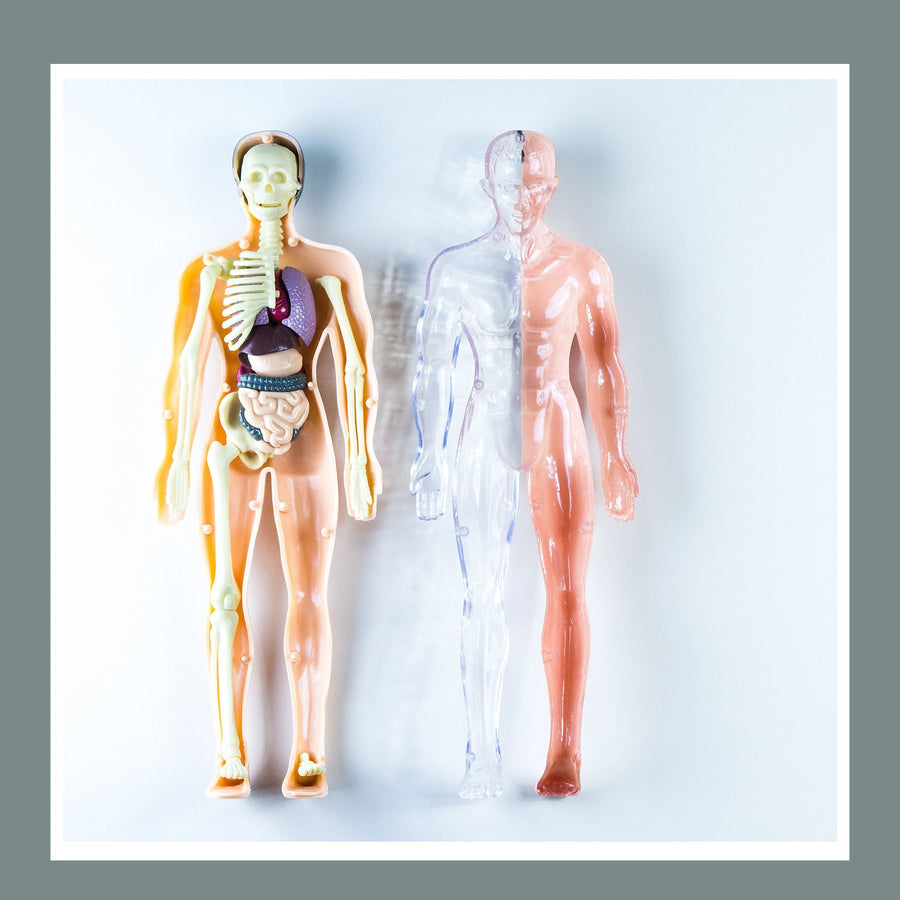 Es doloroso el moldeado corporal? Desvelando la verdad sobre la comodidad y los resultados - SculptSkin