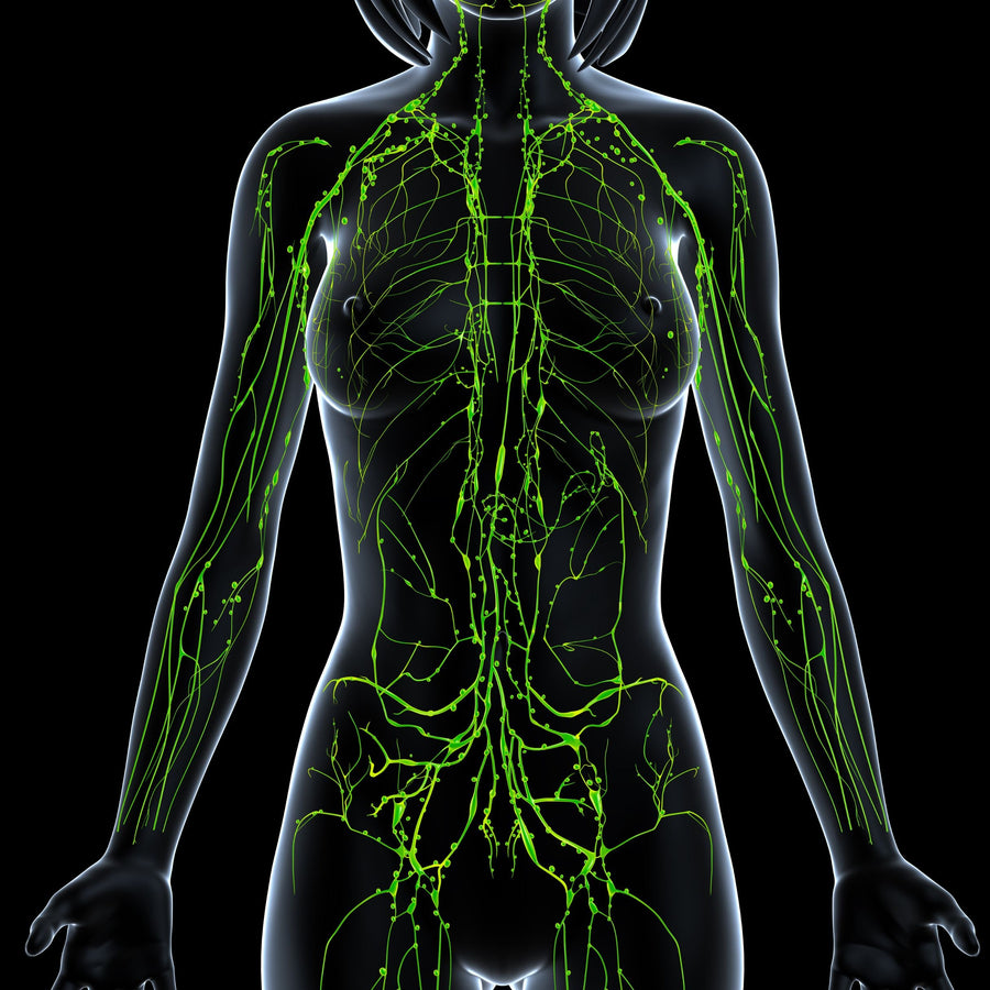 How Does Ultrasonic Cavitation Affect the Lymphatic System? - SculptSkin